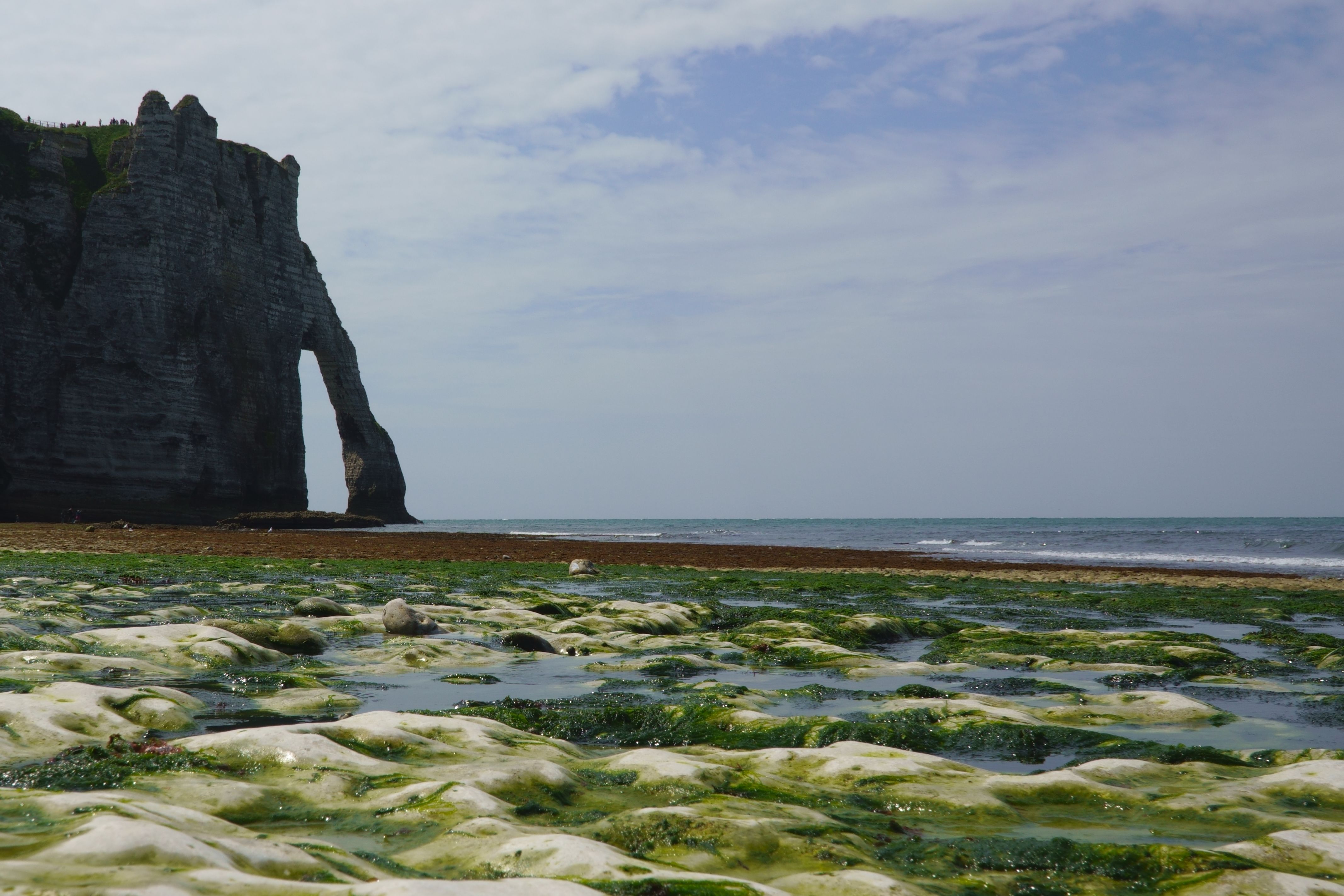 Illustration, camping en normandie au bord de la mer