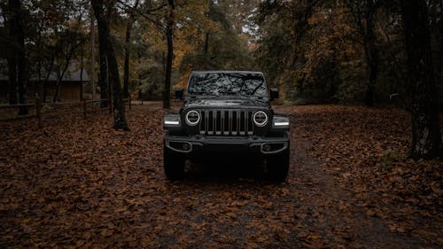 Black Jeep Wrangler Parked on the Road