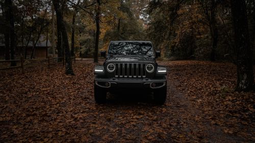Free Front view of a Jeep Wrangler on a leaf-covered forest road in autumn. Stock Photo
