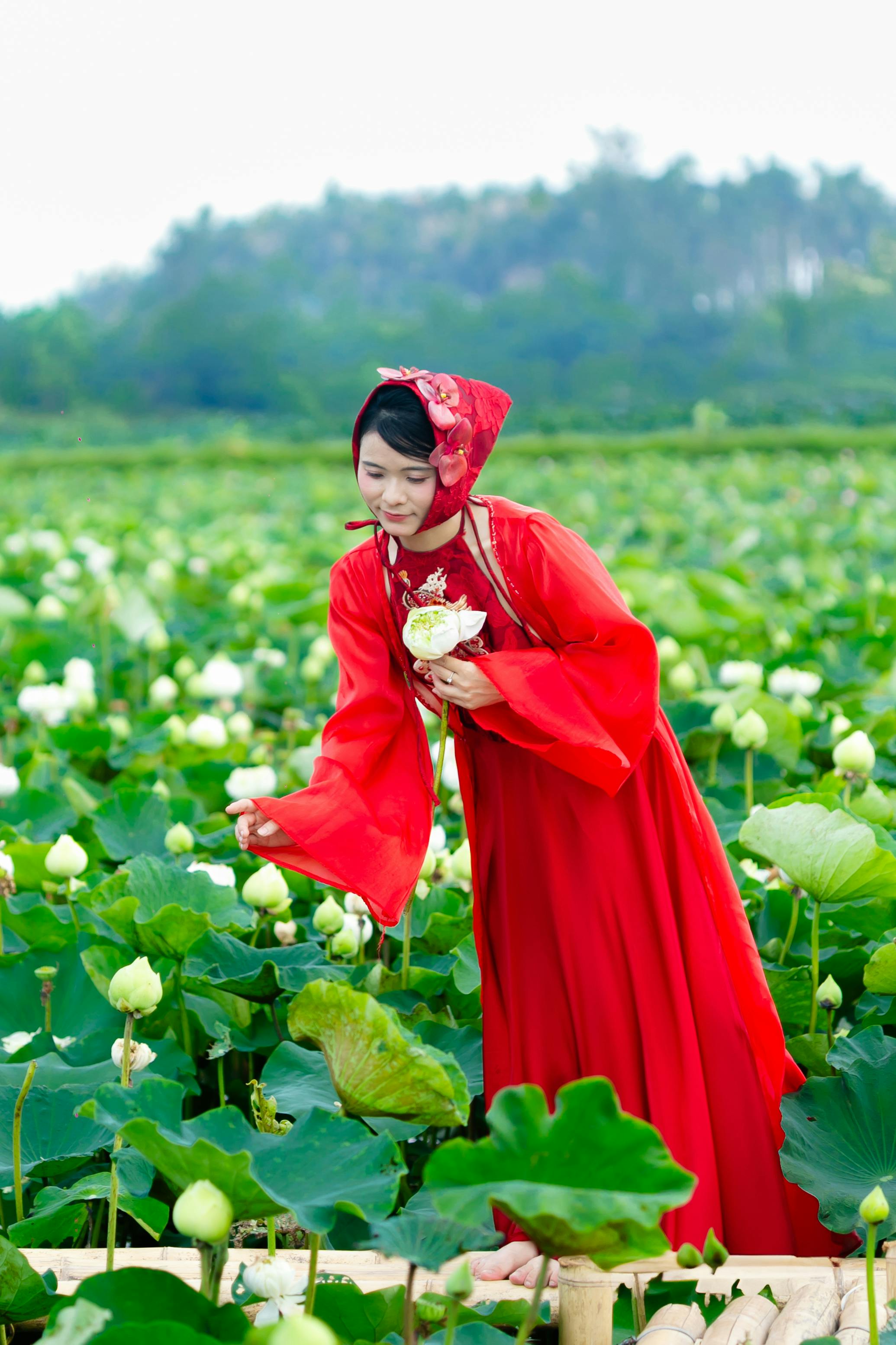 Phong cảnh đẹp tại Hải Phòng cho chụp hình kỷ yếu