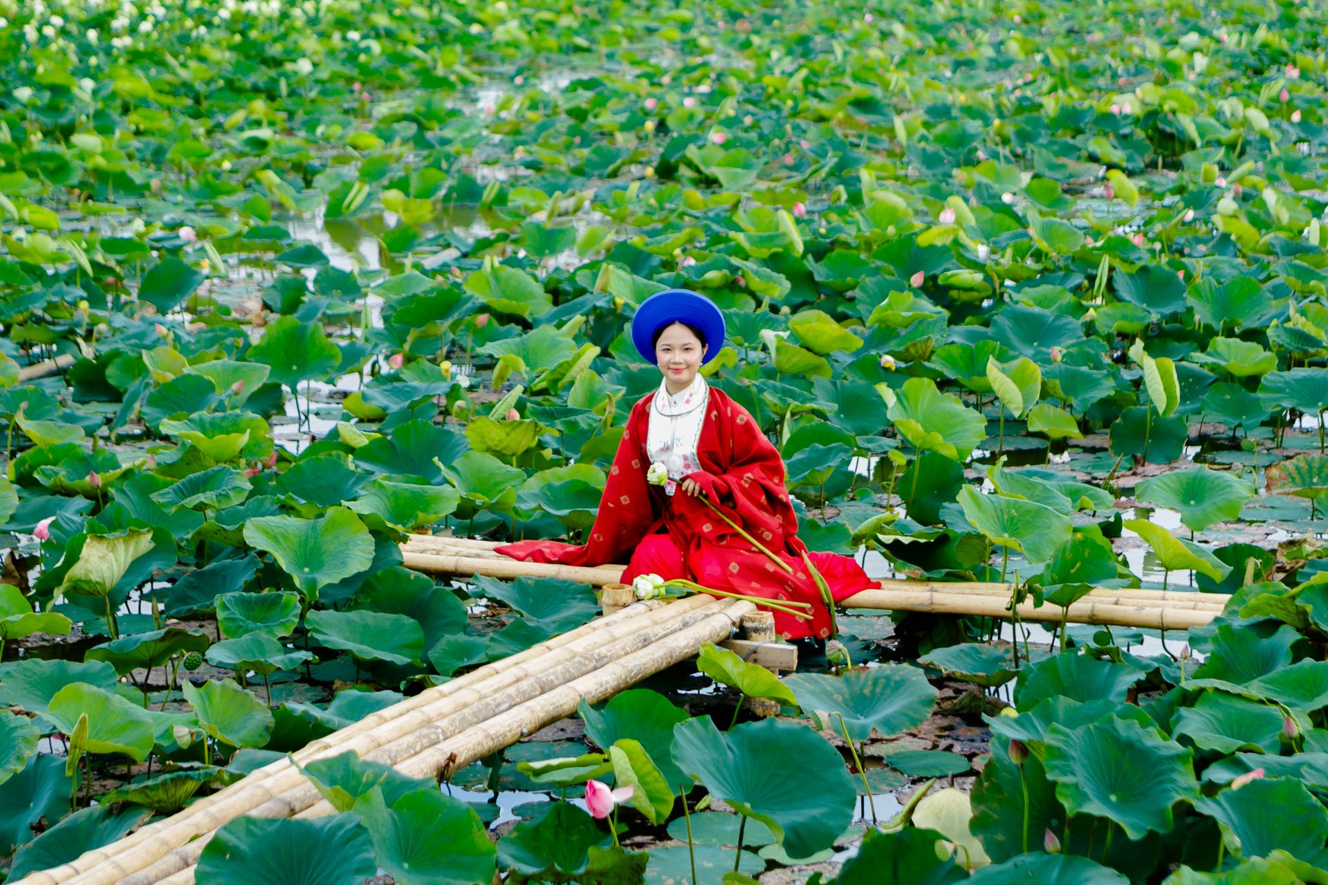 A woman in traditional Vietnamese attire sitting on a bamboo raft in a lotus pond in Hải Phòng, Việt Nam.