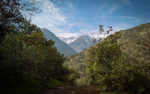 Free Serene pathway through lush greenery with Andes mountains in the background, Región Metropolitana, Chile. Stock Photo
