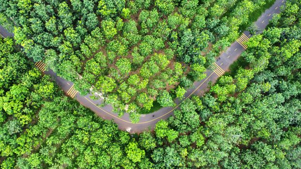 Captivating aerial view of a dense green forest intersected by a winding road, showcasing nature's beauty.