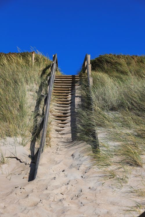 Free Wooden staircase in Dänemark leads up through sandy dunes under a clear blue sky. Stock Photo