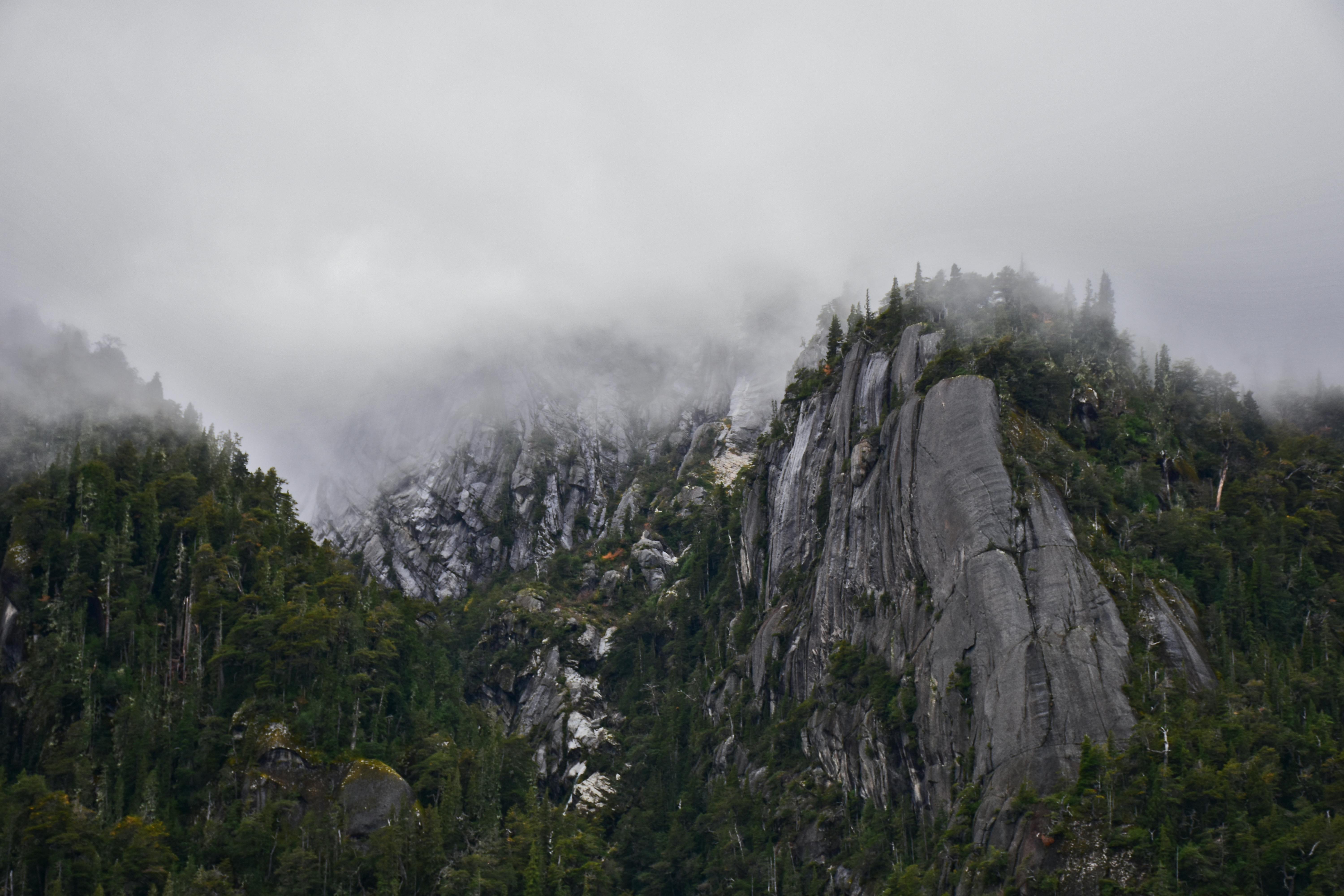 Unraveling the Mysteries of Anomalies in the Outer Forests