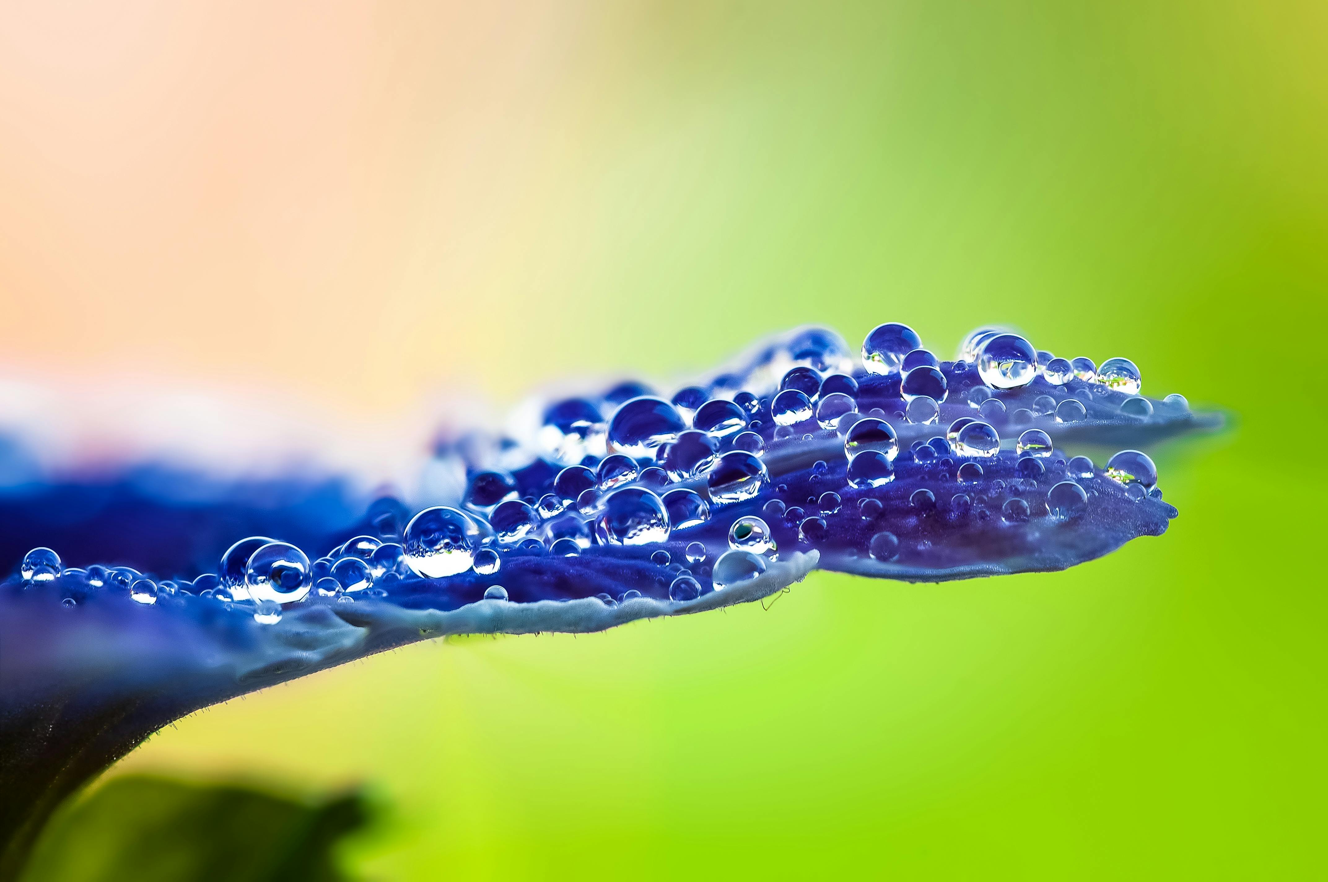 After Rain Lamdscape Photos, Download The