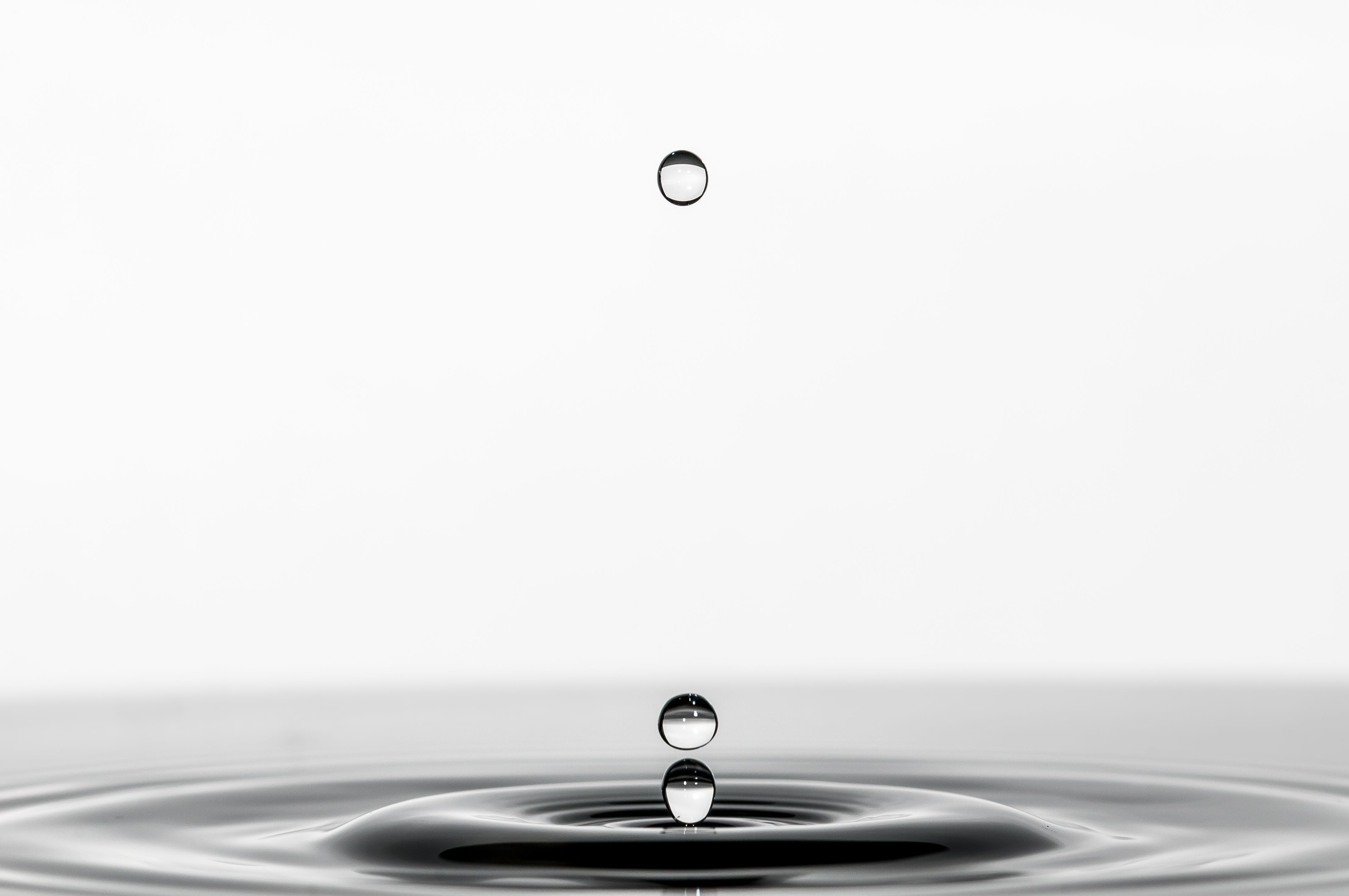 Elegant Water Drop in Minimalist Black and White · Free Stock Photo