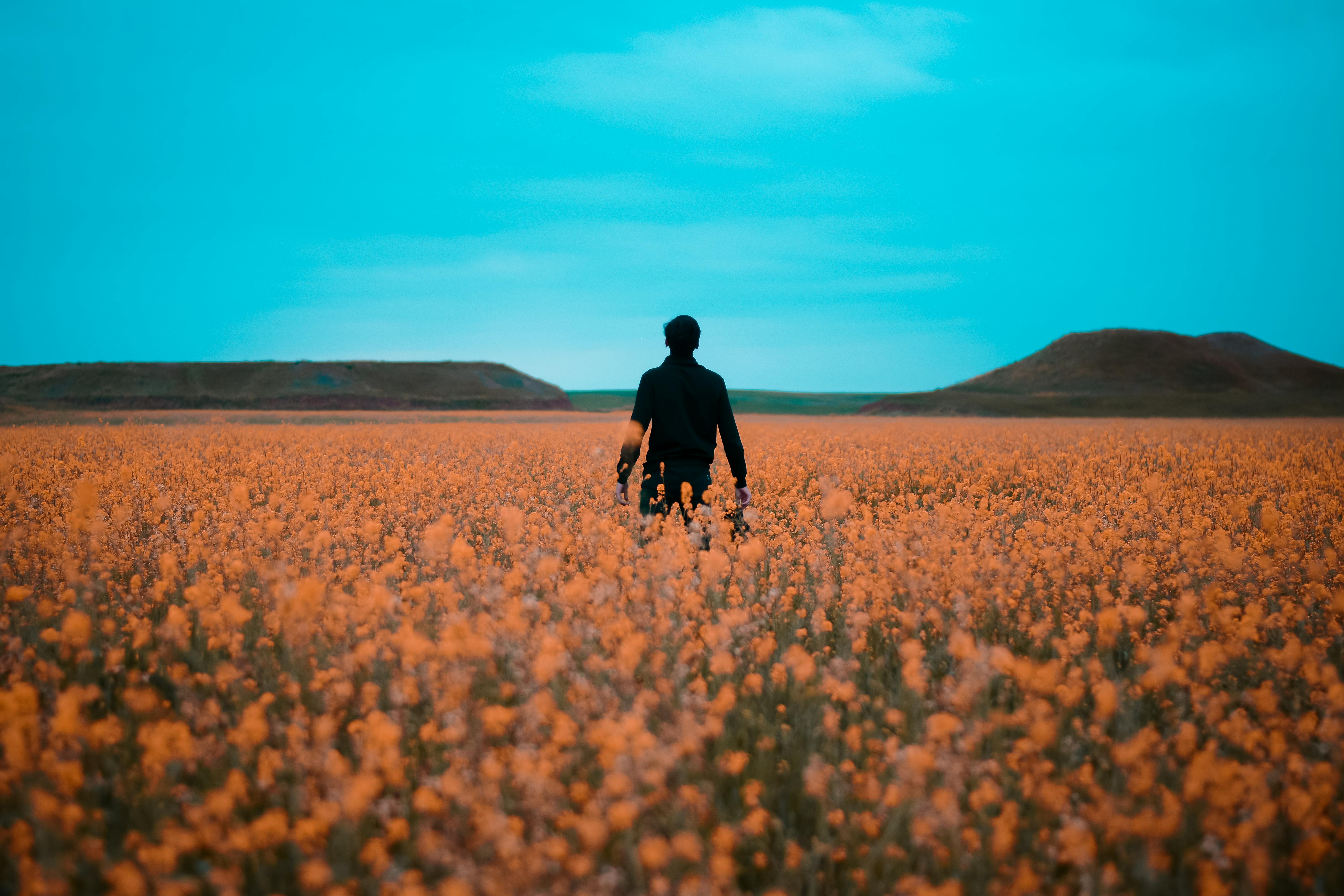 Understanding the Employee Productivity Crisis: Causes and Consequences