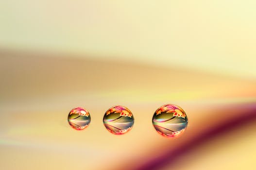 Intricate macro shot showcasing water drops reflecting vibrant floral patterns, creating a colorful and artistic image.