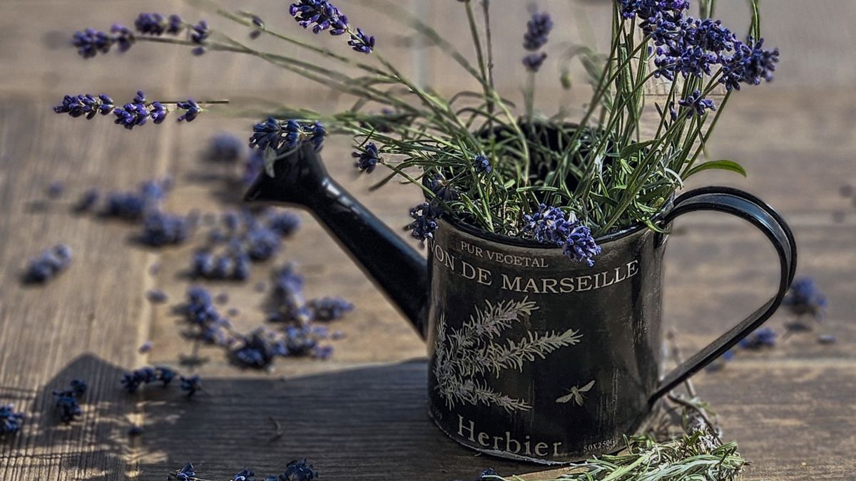 Comment aménager un espace de travail à domicile inspiré de la Provence