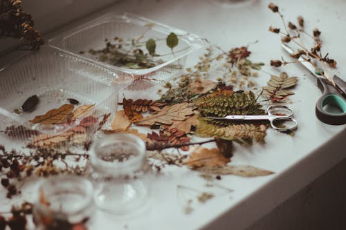 Ножницы и сухие листья на белом столе