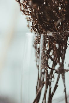 突出干花自然纹理的玻璃花瓶美学特写