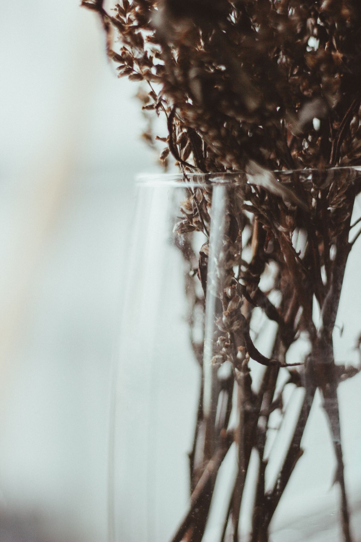 Dried flowers in a glass vase for pressed flower crafts inspiration