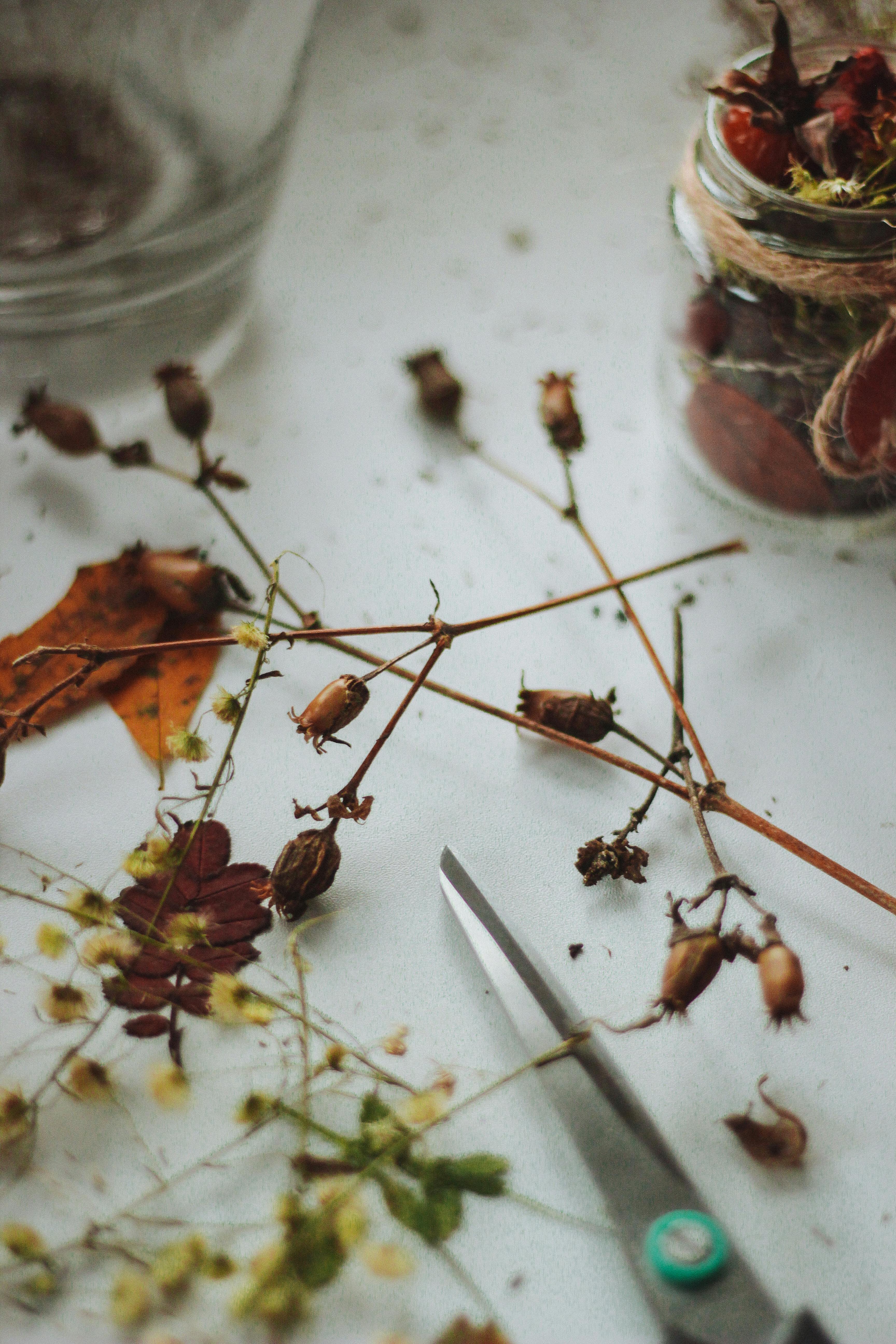 特写镜头展示了室内表面上的干花、树叶和剪刀，呈现秋天的色彩