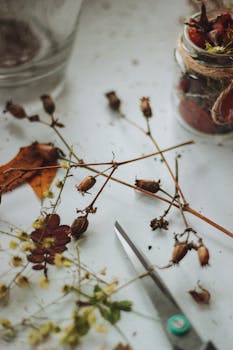 特写镜头展示了室内表面上的干花、树叶和剪刀，呈现秋天的色彩