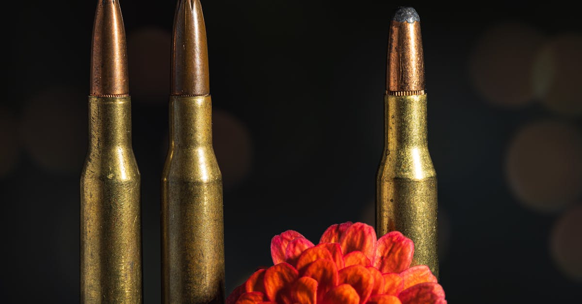 馬利激進團體武裝攻擊 3印度人遭綁架引關注