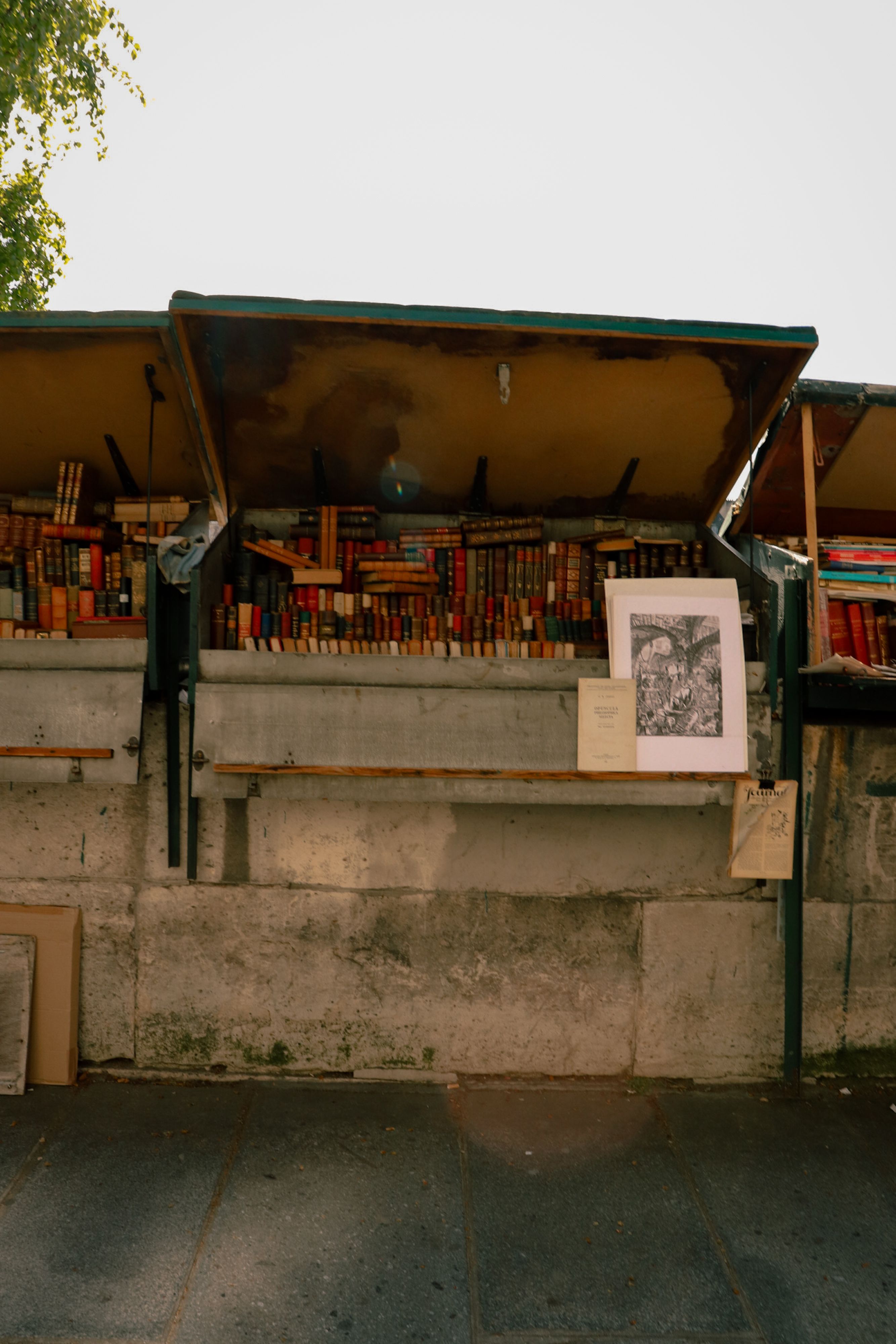Bouquinistes le long de la Seine à Paris