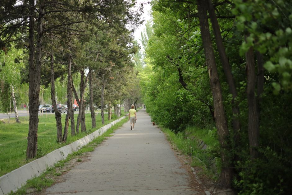 Discover tranquility on a lush, green pathway in Bishkek lined with vibrant trees.
