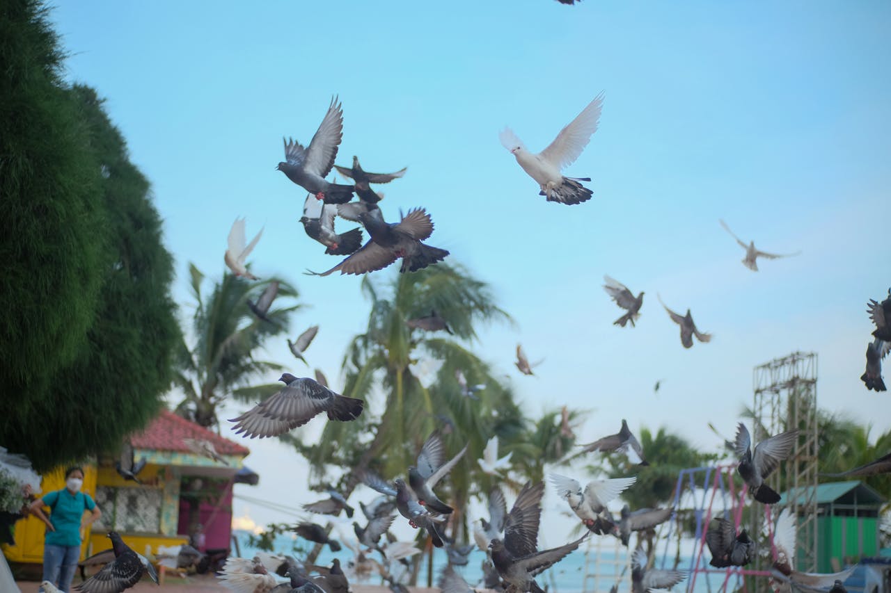 Thu hút đúng khách qua phân khúc thị trường