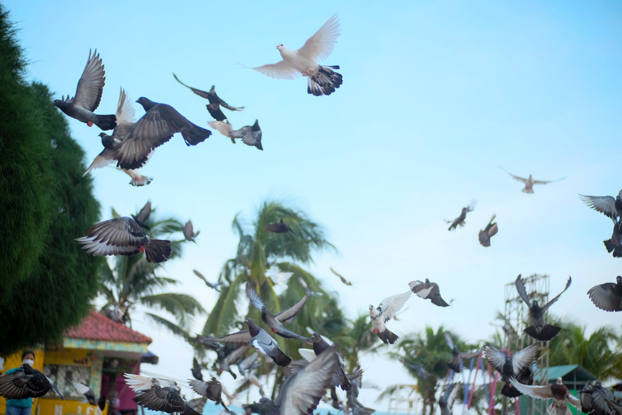 Thám tử lừng danh Conan | Chương 0768