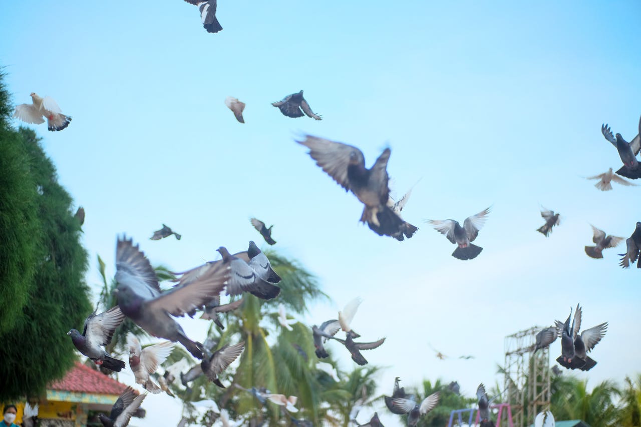 Thám tử lừng danh Conan | Chương 0693