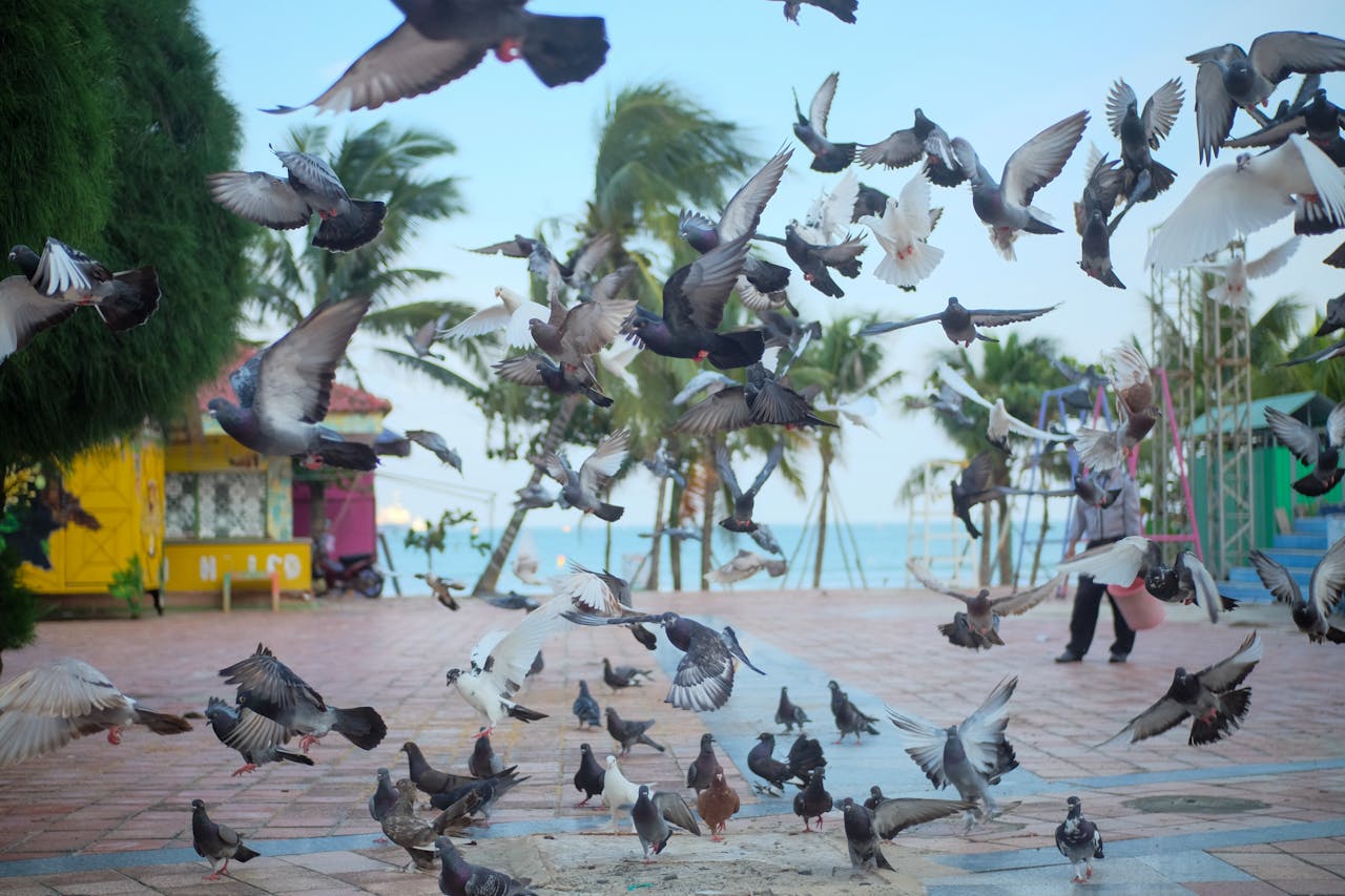 Thập nhị nhân duyên (Dvādasa Nidāna – 十二因緣) là gì?