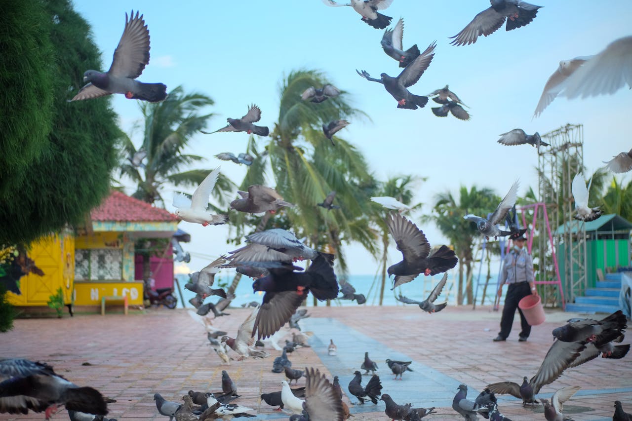 5 vấn đề triết học về tính bất tử