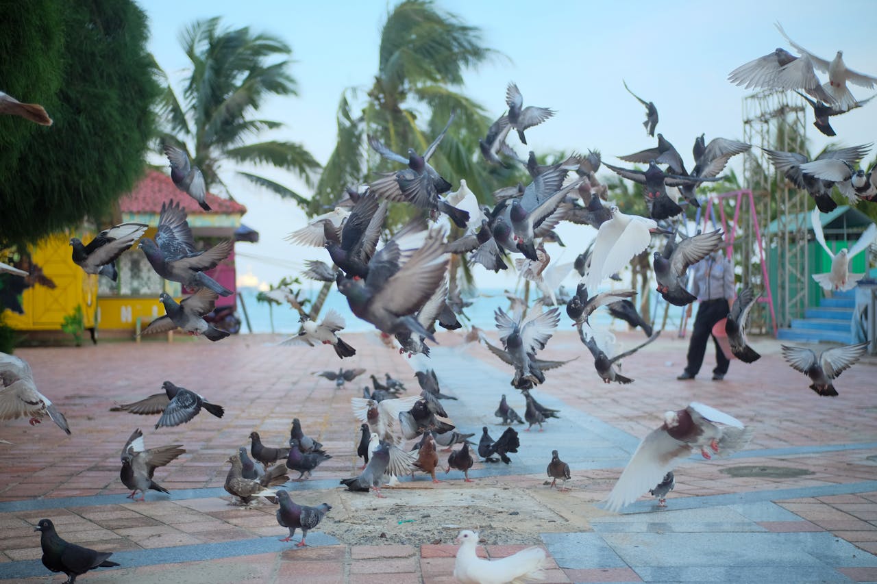 Hướng dẫn chặn sao chép nội dung trên website