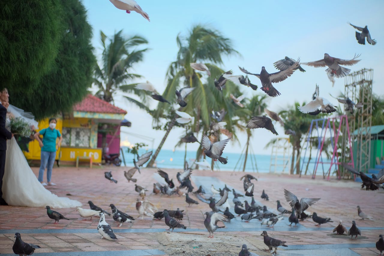 Đường xưa mây trắng | Chương 61