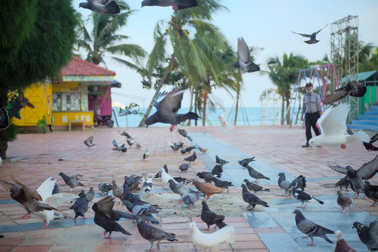 Trao quyền cho động vật để tự cứu con người