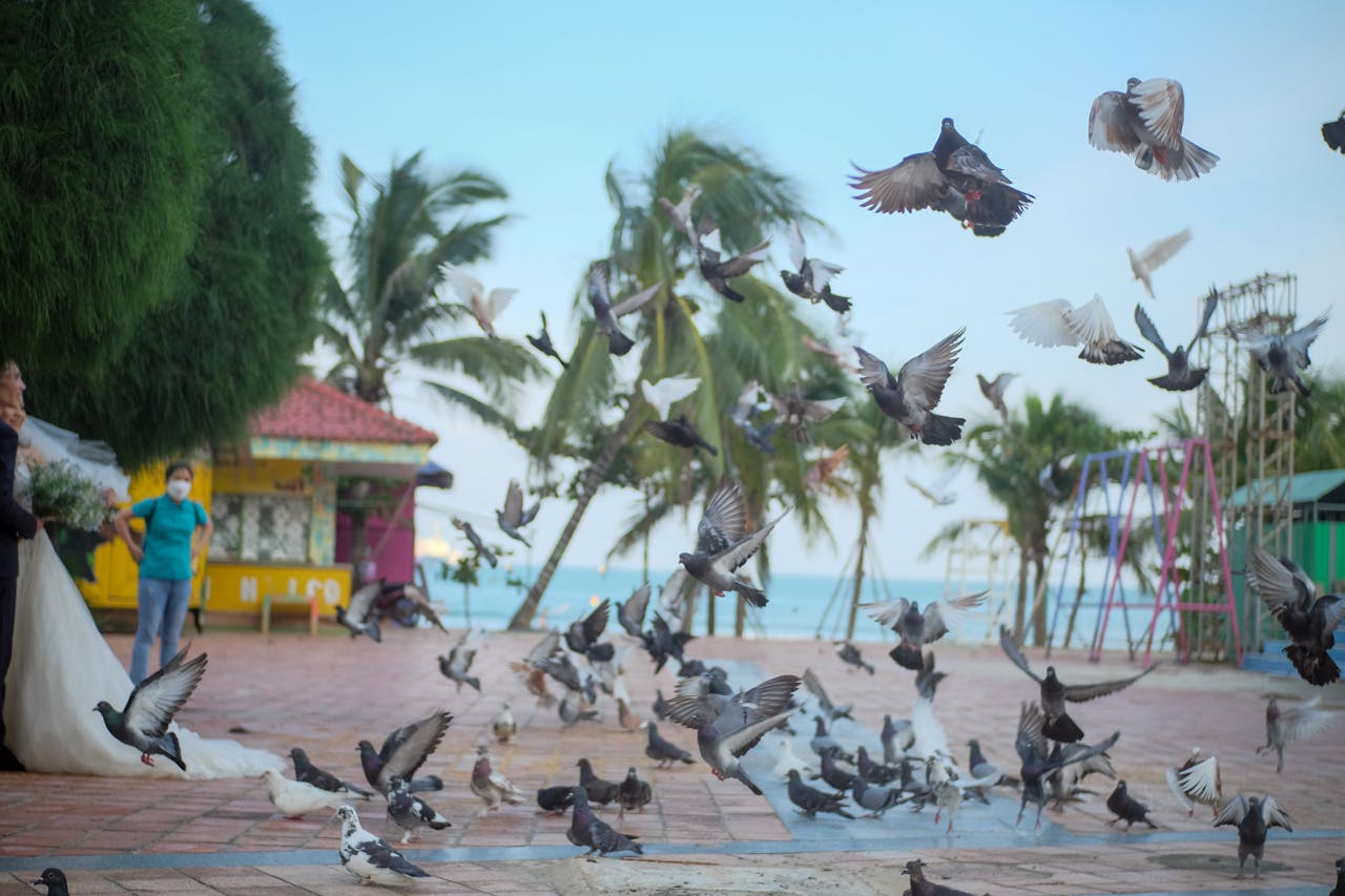 Thám tử lừng danh Conan | Chương 1091