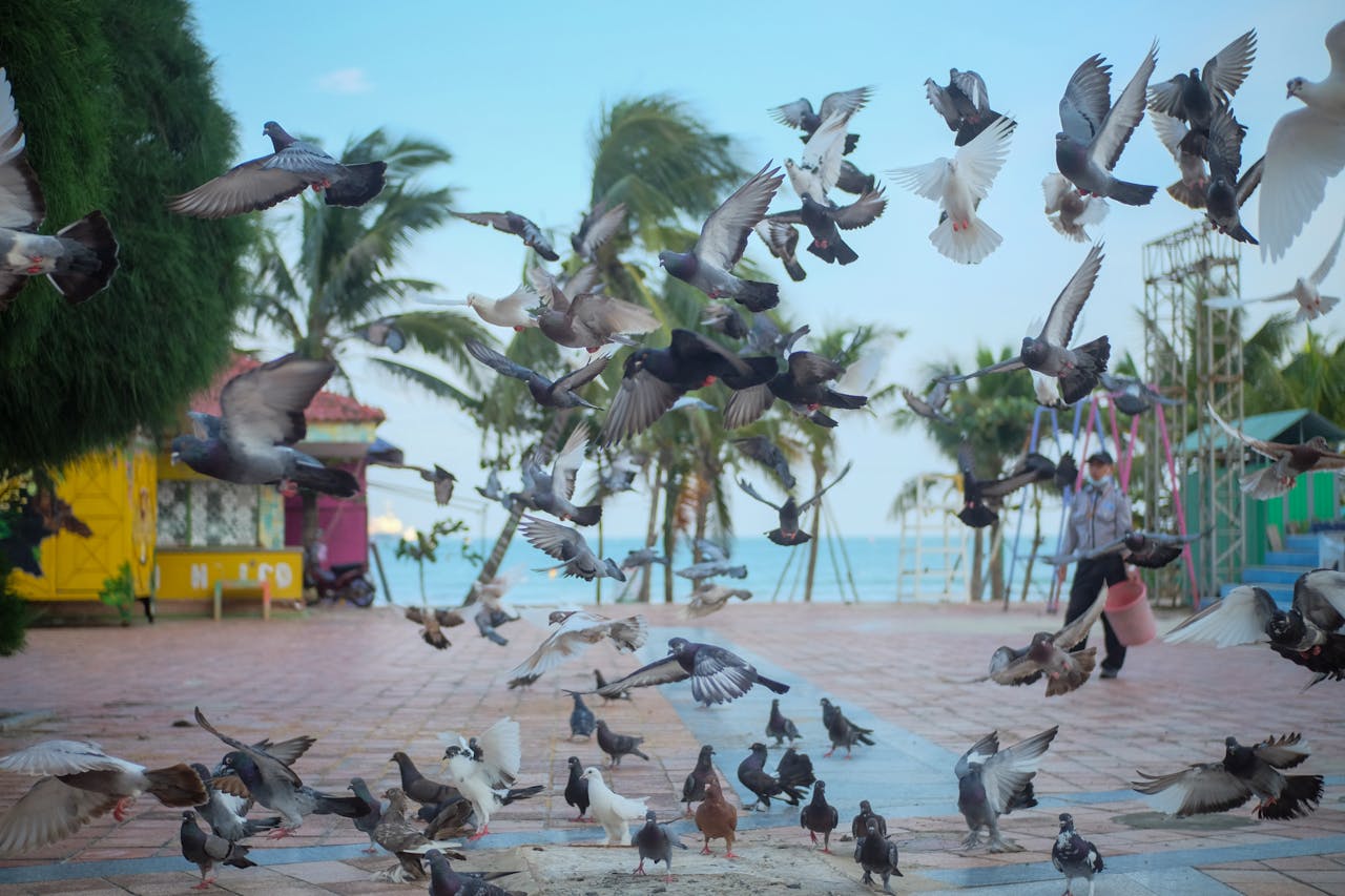 Đạo phật ngày nay | Chương 03