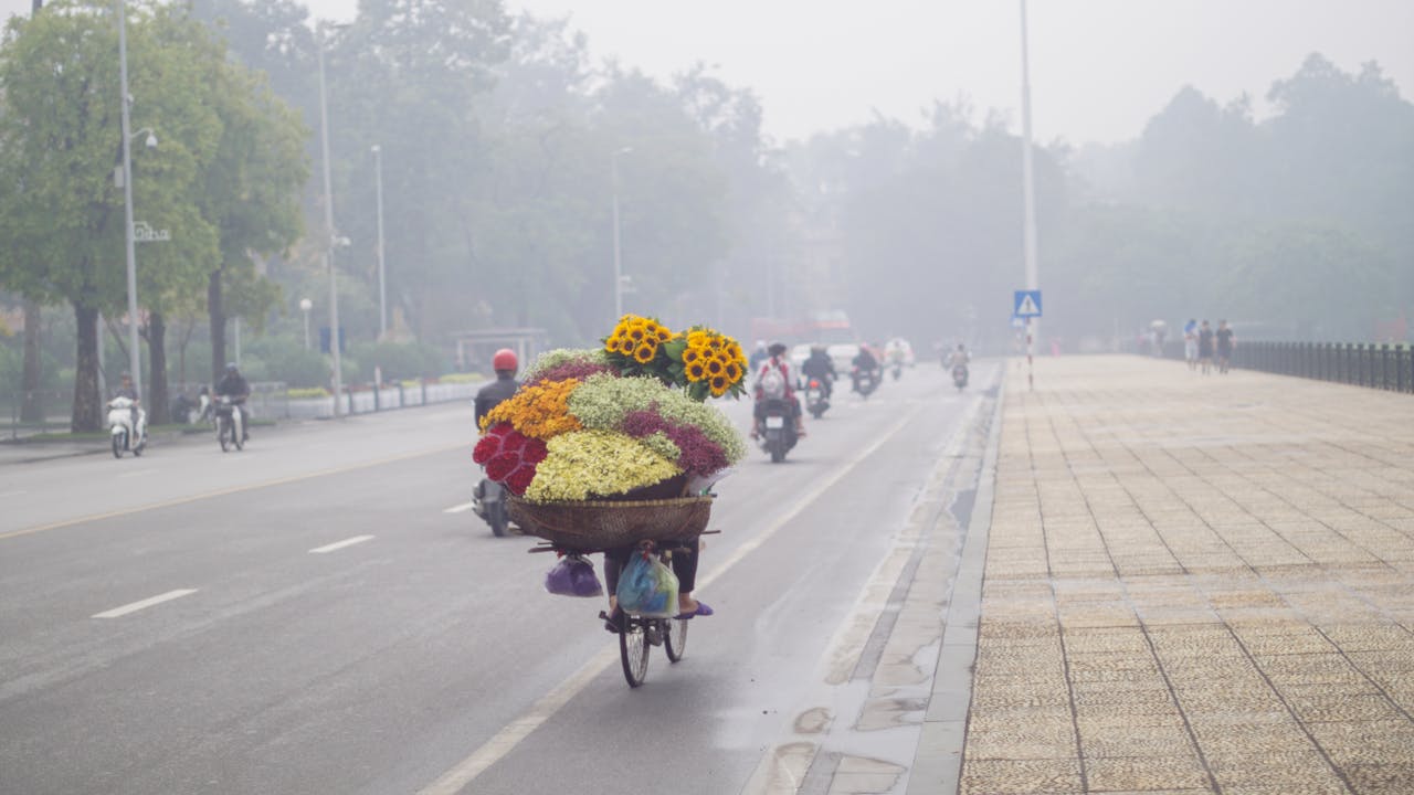 Holocaust Denial – Chống lại chủ nghĩa phủ nhận lịch sử