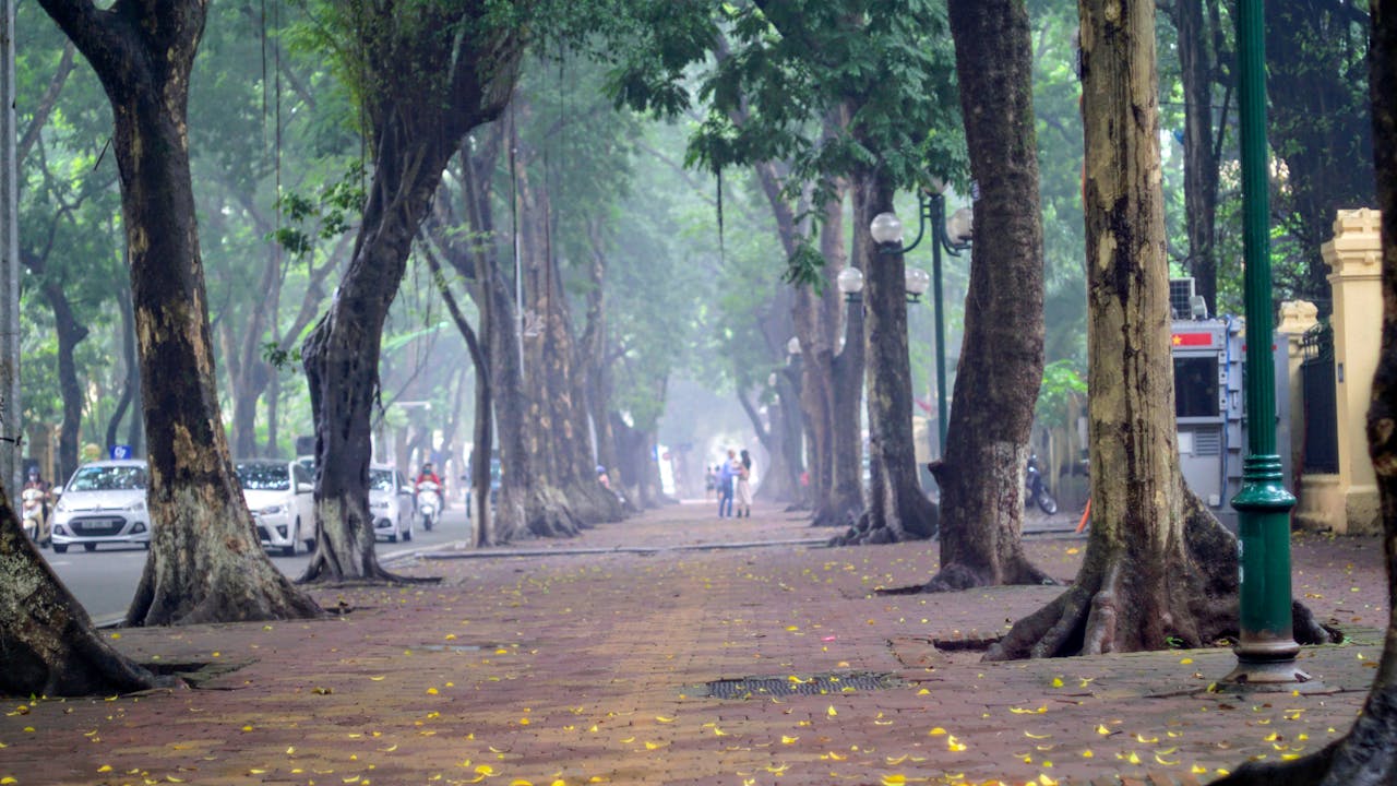 Tiếp nhận văn học là gì?