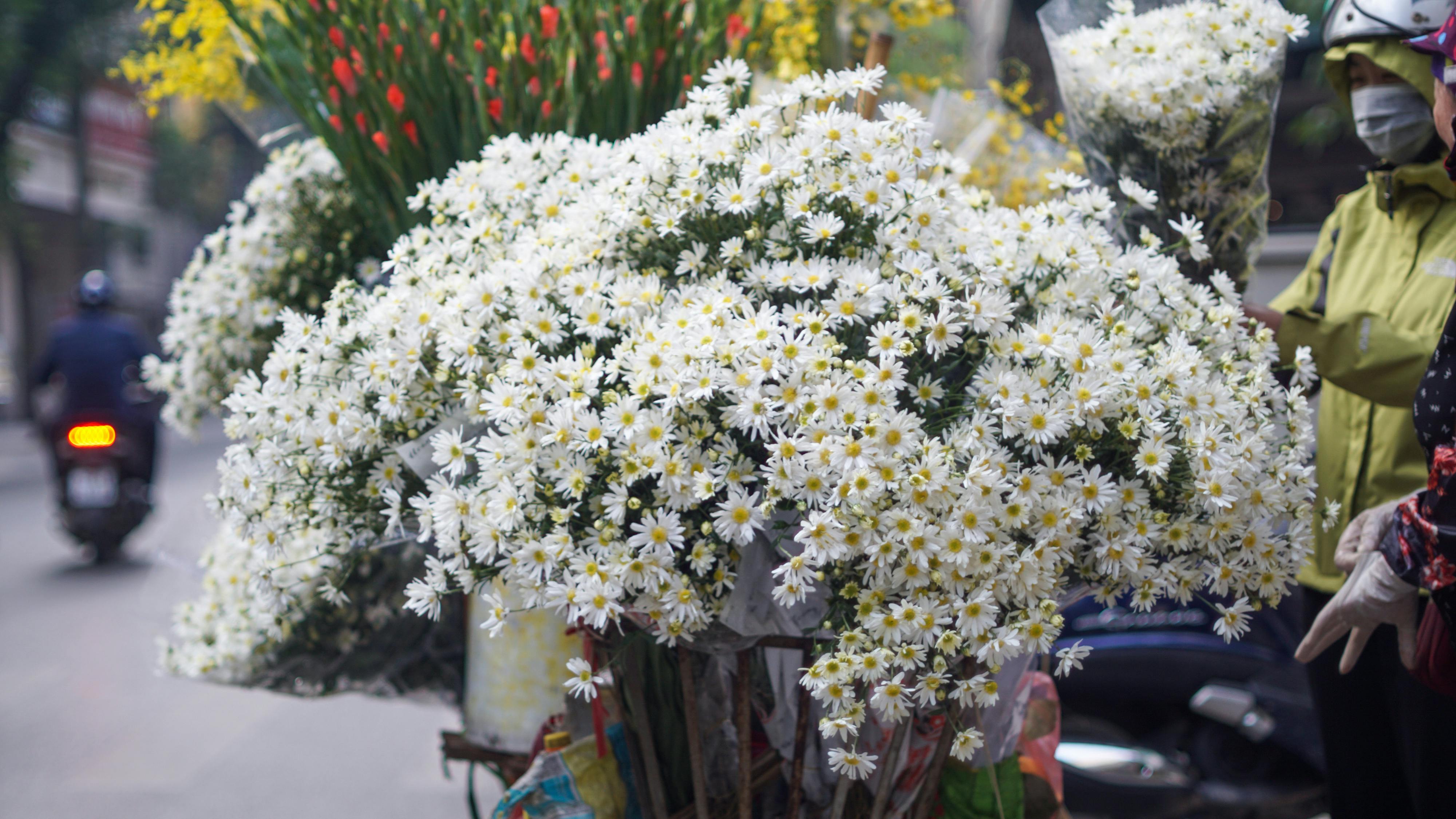 Chim lửa | Chương 29