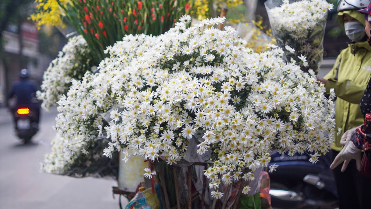 Phong cách ngôn ngữ nghệ thuật là gì?