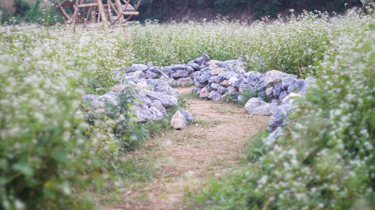 Sợ hãi | Chương 18