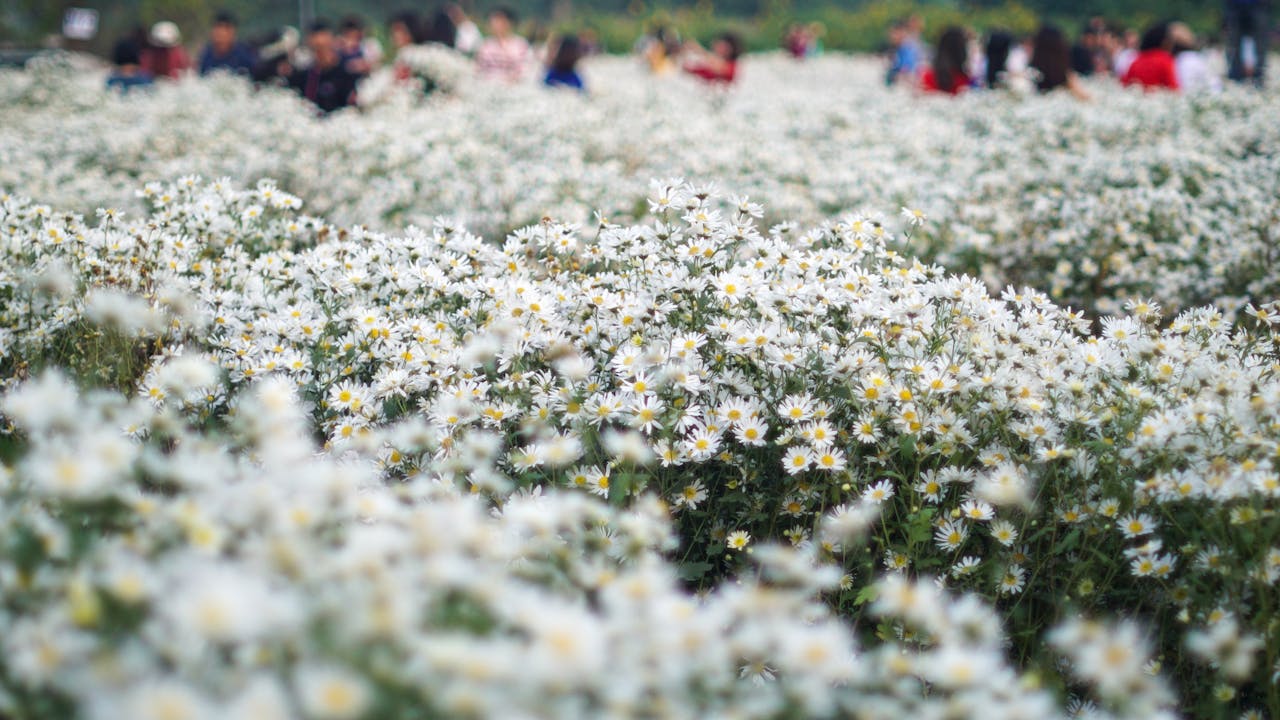 Làm thế nào để xây dựng một thứ trường tồn?