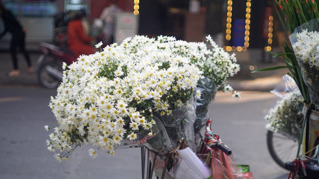 Cuộc sống như thế nào ở những nơi khác trong vũ trụ?