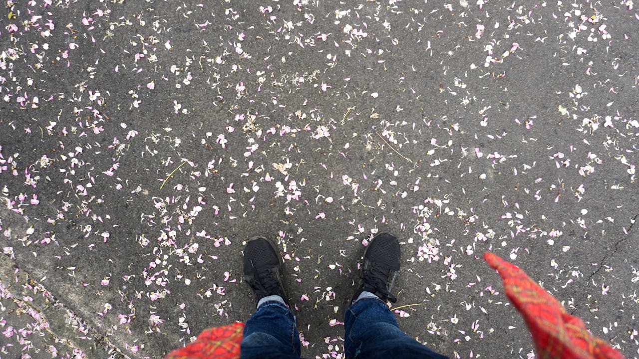 Thám tử lừng danh Conan | Chương 0728