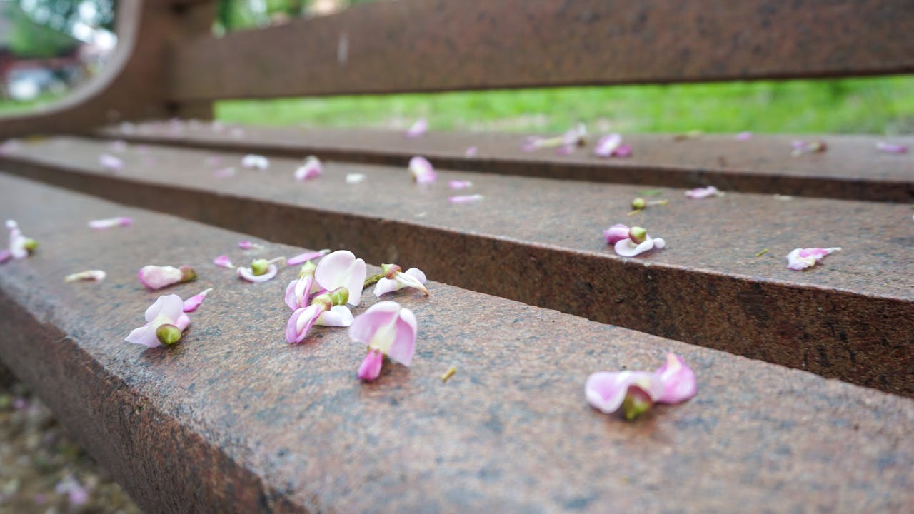 10 điều bạn từng làm khi còn nhỏ mà nên bắt đầu lại