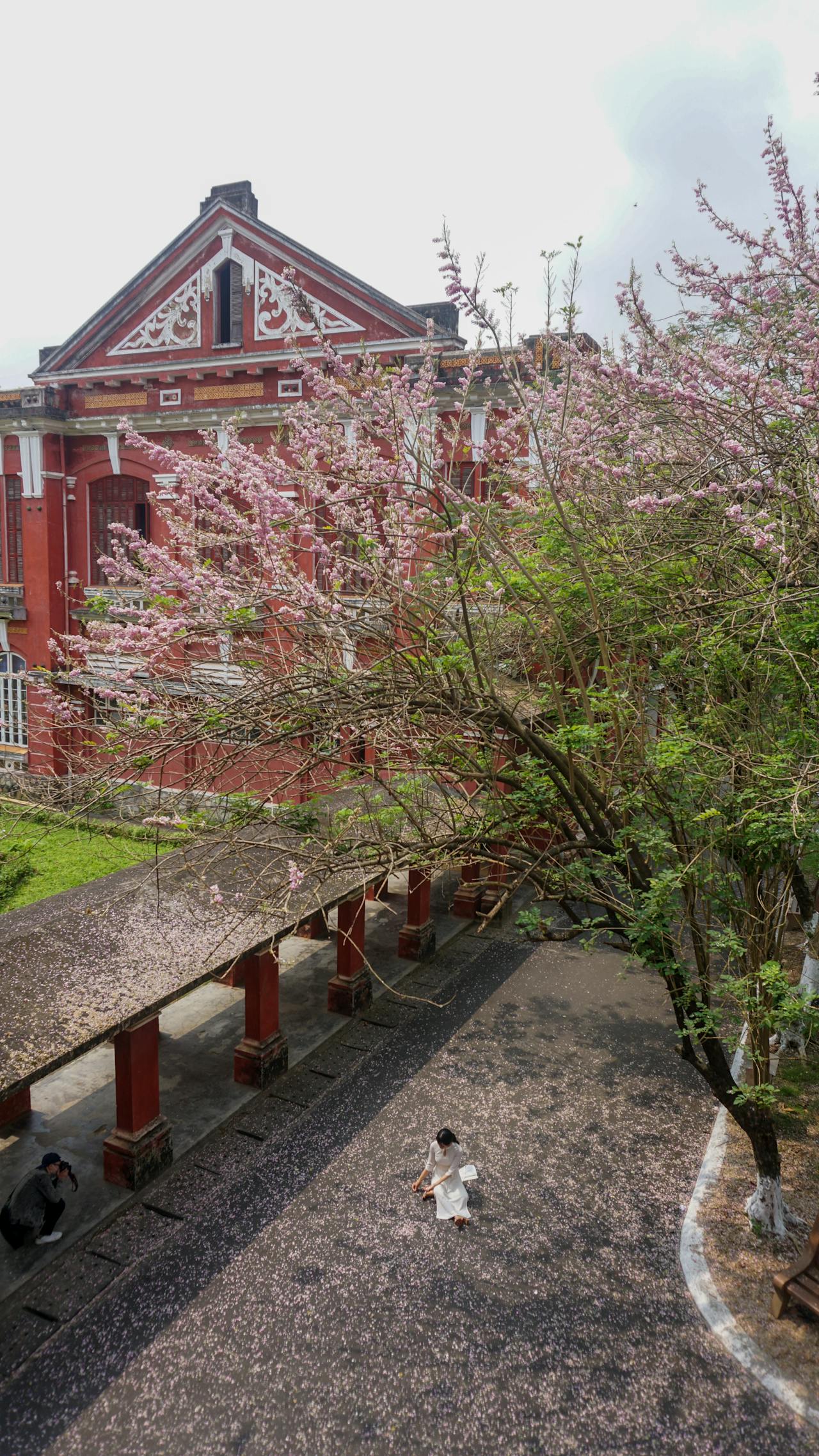 100+ caption, câu nói, câu văn hay về tình yêu