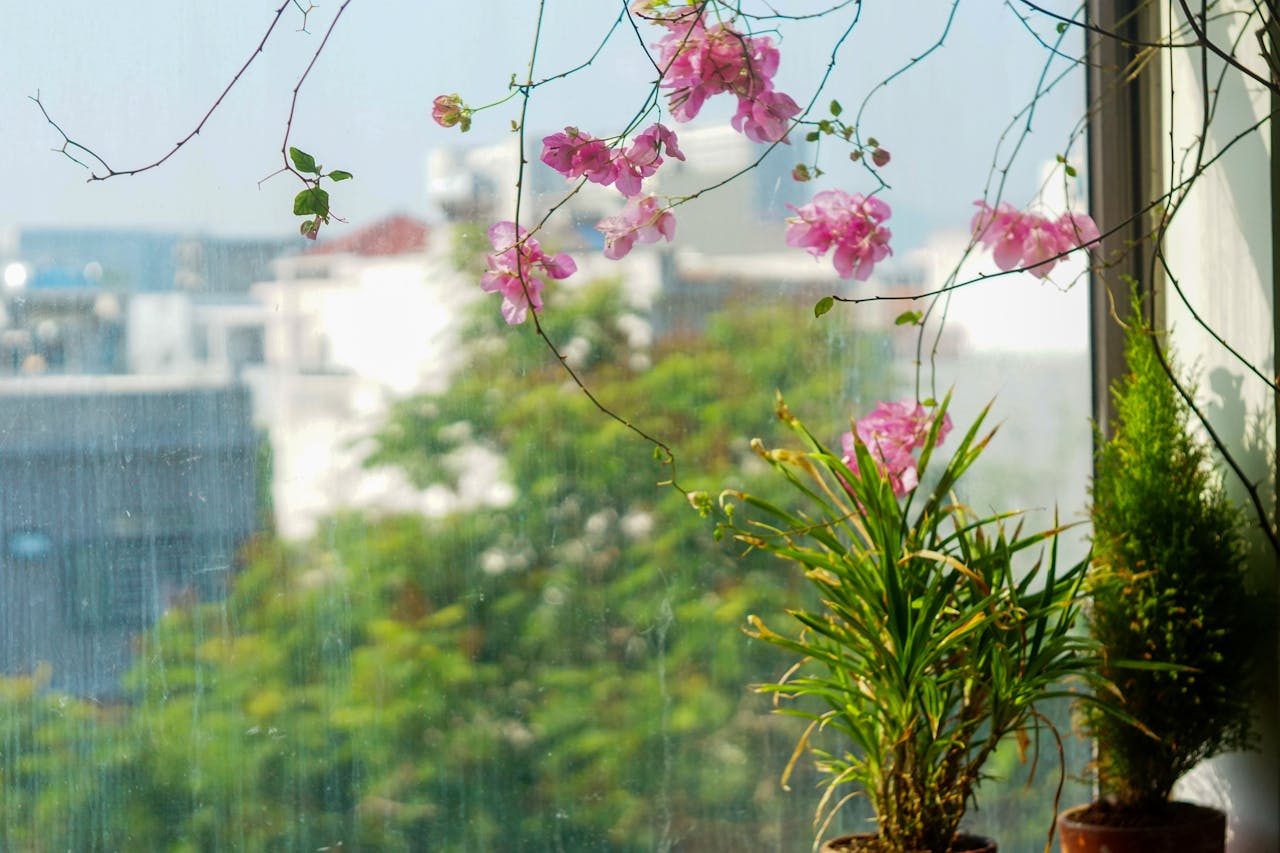 Chim lửa | Chương 20