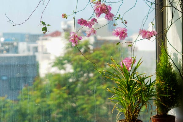 Trung tâm nghiên cứu văn học, phát triển nhà văn Việt Nam