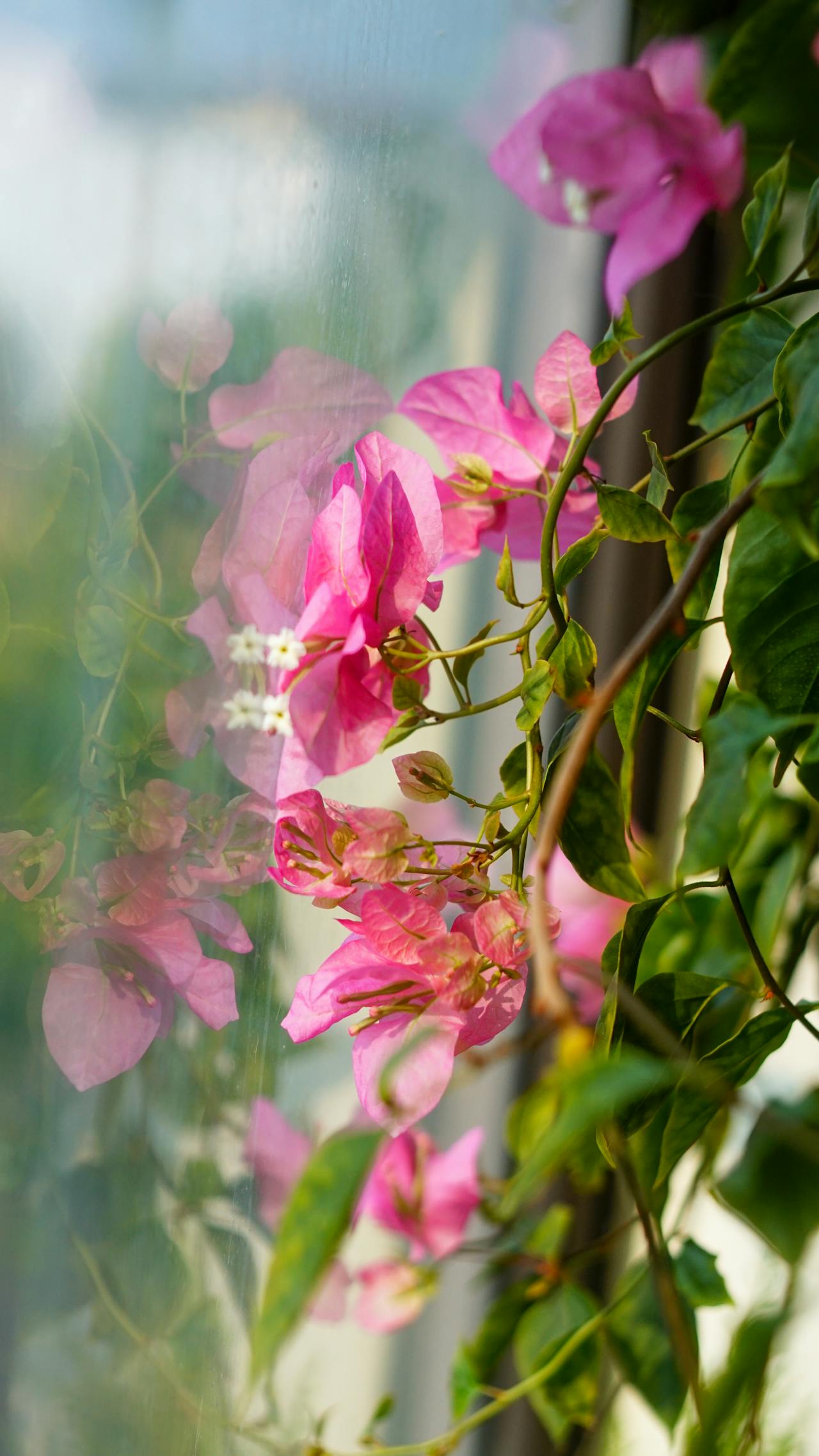 Hướng dẫn sử dụng Email Marketing trong khách sạn