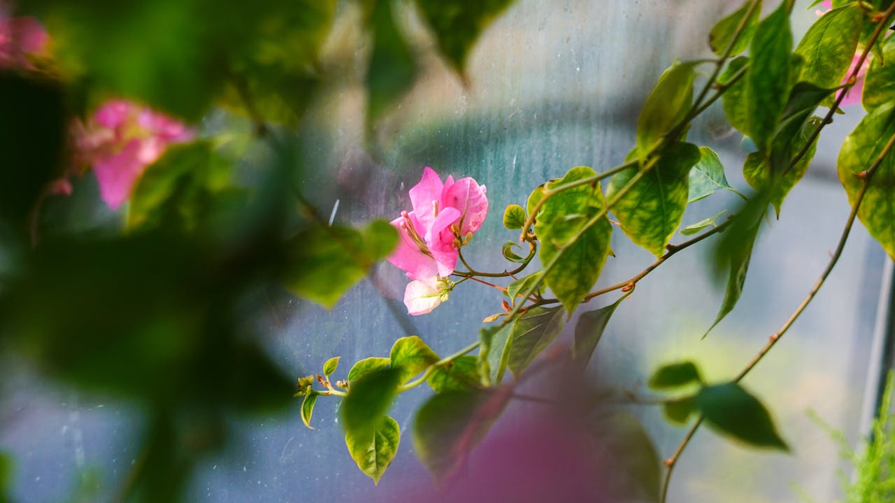 Cẩm nang du lịch Cao Bằng