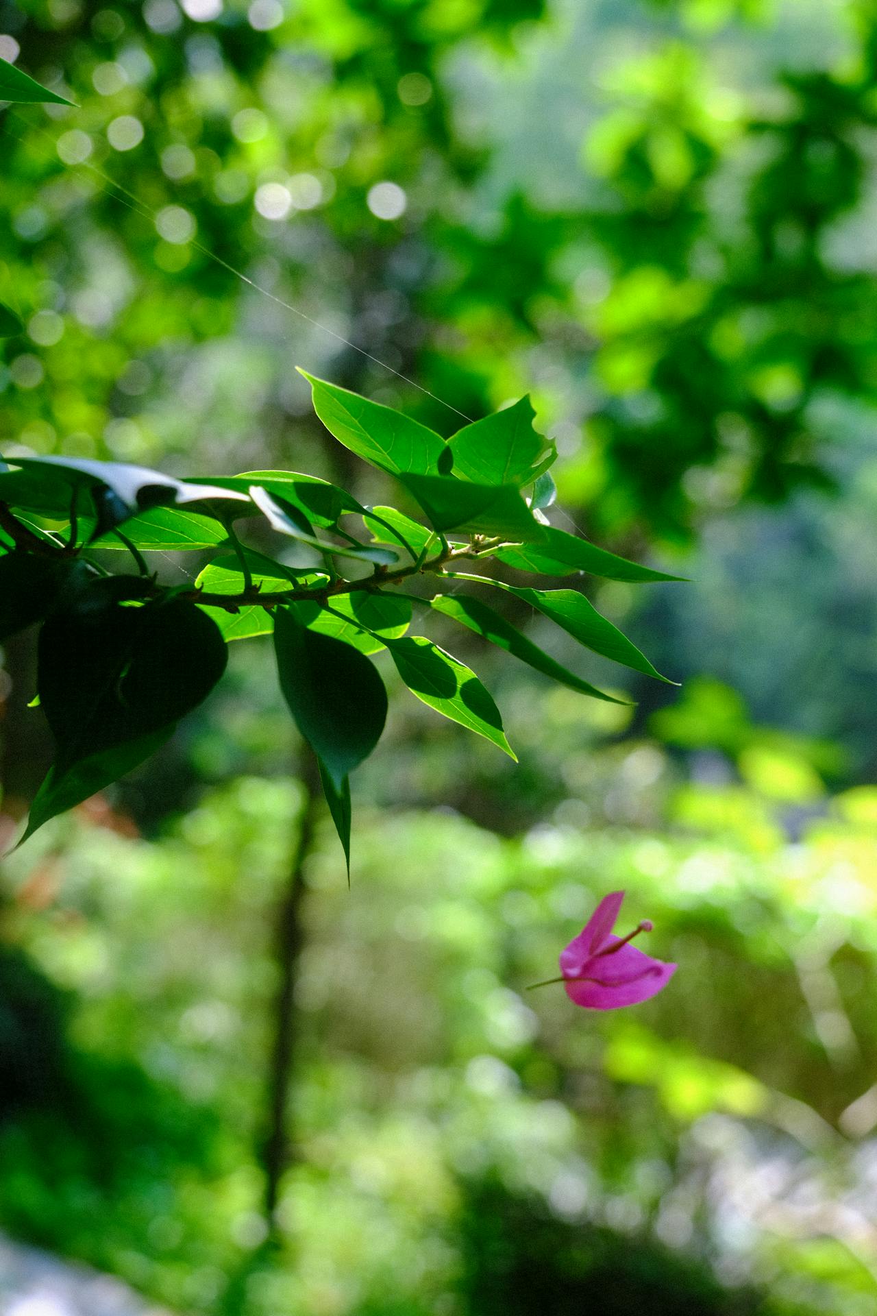 Gieo trồng hạnh phúc | Chương 26