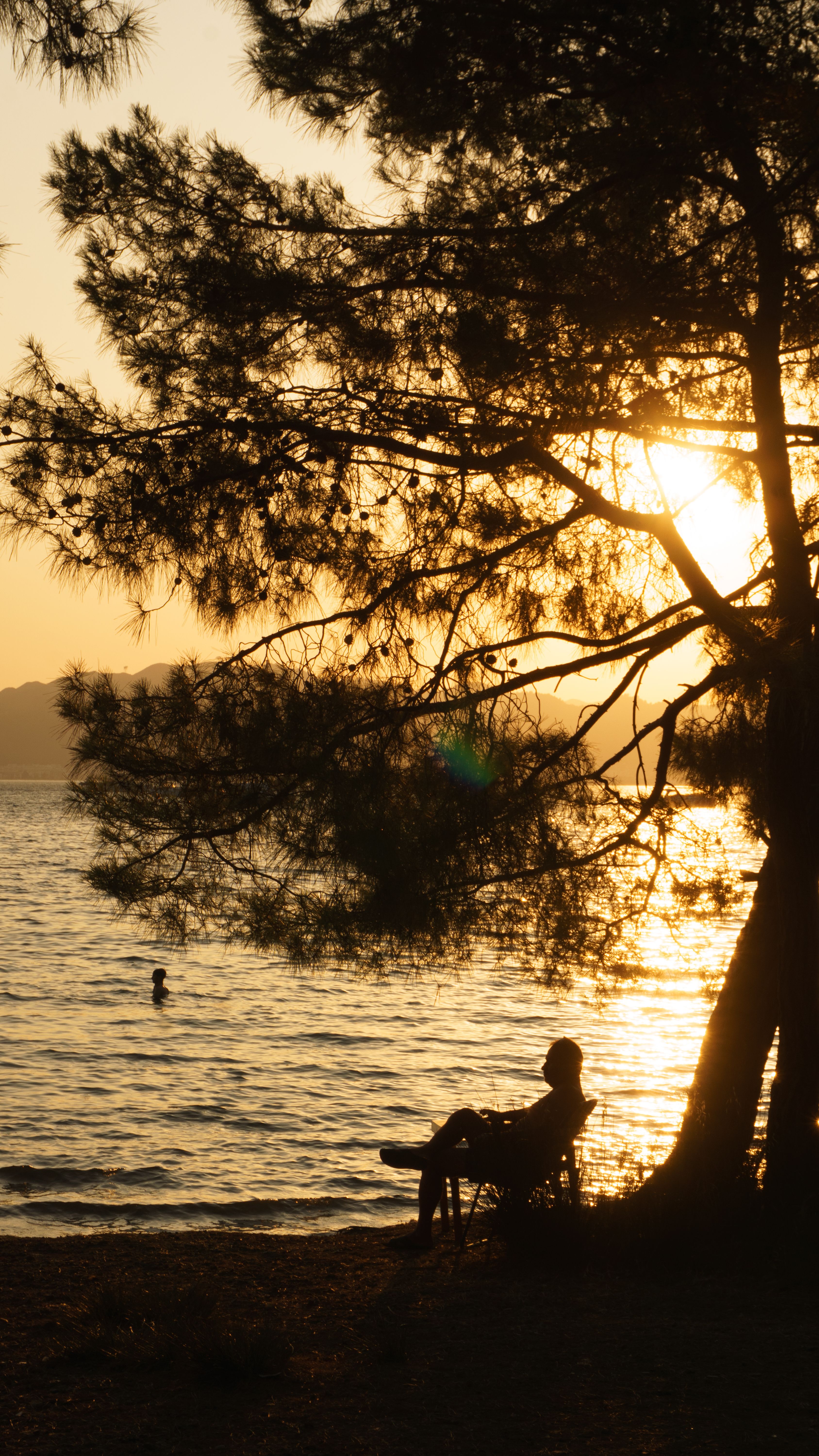 Serene Sunset by the Lakeside at Golden Hour · Free Stock Photo