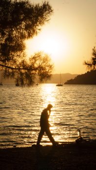 A serene scene of a person walking along a beach during a golden sunset, framed by trees.