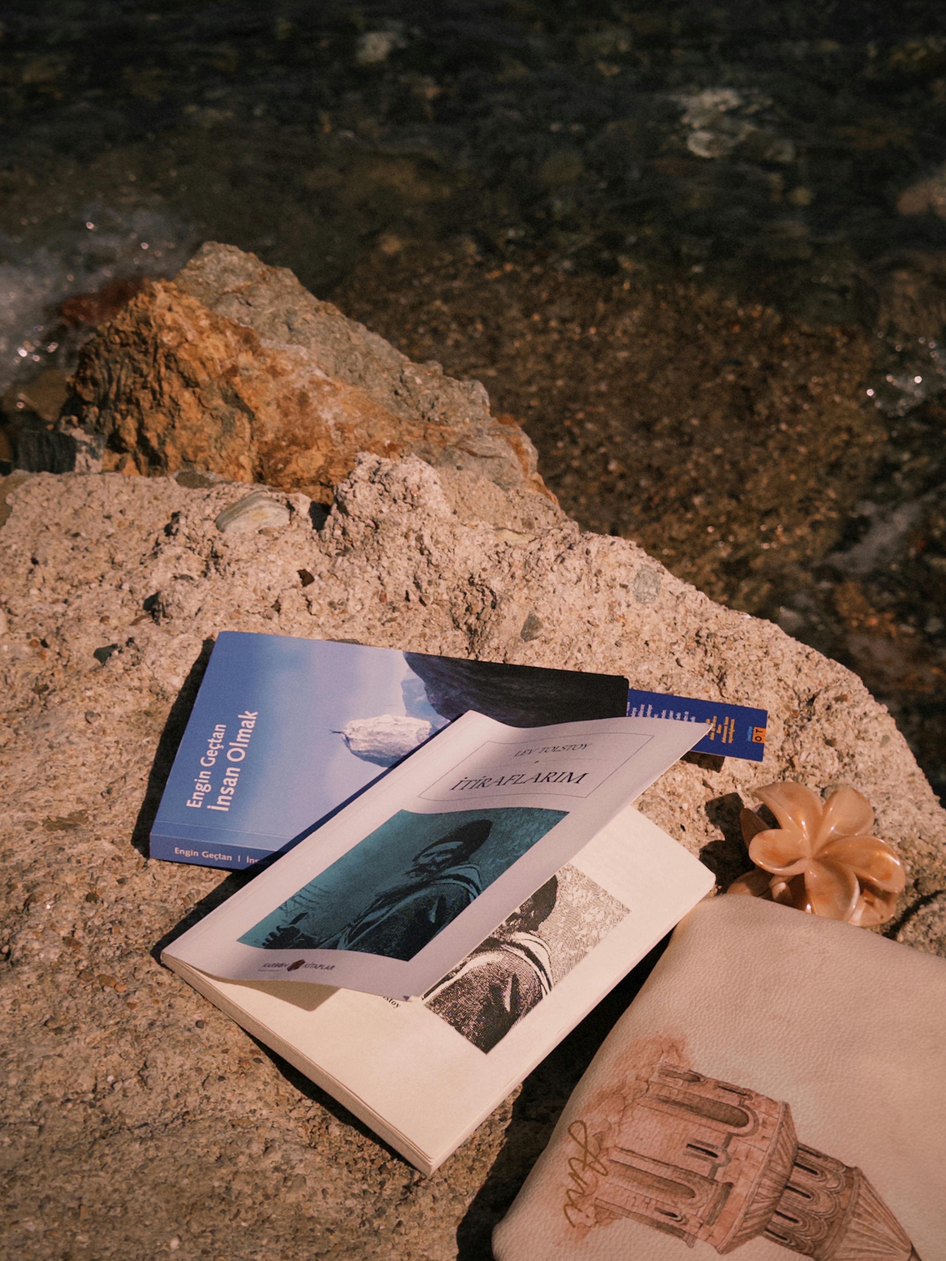 Peaceful seaside scene with books, a seashell, and soothing waves.